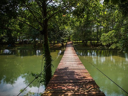 Турбаза Тамыш: море, река и деревья